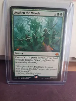 Awaken the Woods The Brothers' War Regular - Image 1