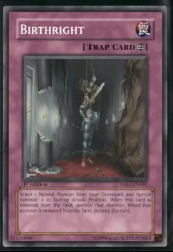 Yu-Gi-Oh! TCG Birthright 5DS1-EN040 1st Edition Common - Image 1