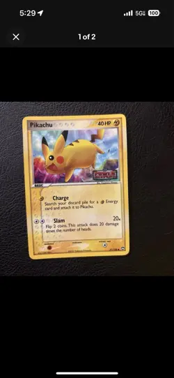 Customer Requested Pokemon Lot - Image 1