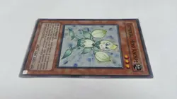 Yugioh Elemental Hero Knospe PP02-EN005 Super Rare LP Yu-Gi-Oh! - Image 3