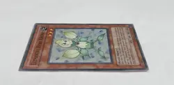 Yugioh Elemental Hero Knospe PP02-EN005 Super Rare LP Yu-Gi-Oh! - Image 5