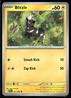 Blitzle SV: White Flare 031/086 NM Pokemon TCG | Buy 10 Get 10 Free - Image 1