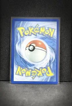 Yveltal 205/182 Sv04: Paradox Rift Holo Pokemon TCG Near Mint Condition - Image 4