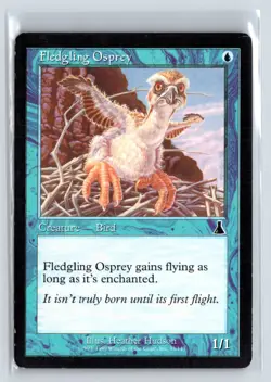 (2X) Fledgling Osprey Urza's Destiny Common - MTG Magic the Gathering Card - Image 1