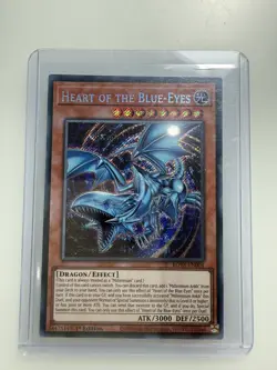 Heart Of The Blue-Eyes ROTA-EN004 Secret Rare 1st Edition NM Yugioh TCG - Image 1
