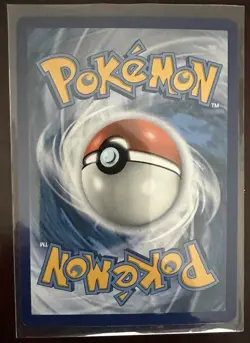 Pokemon TCG Mudkip 19/25 Holo 25th Anniversary McDonald’s Promo NM - Image 2