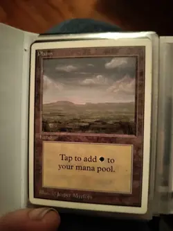 Plains (C) (LP) Unlimited Edition 2ED Magic MTG - Image 1