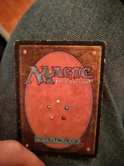 Plains (C) (LP) Unlimited Edition 2ED Magic MTG - Image 2