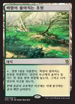 Windswept Heath (KO) - Foil KTK Korean NM MTG - Image 1