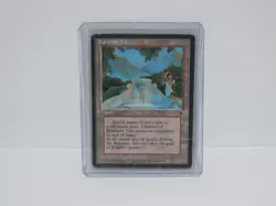 MTG RAINBOW VALE CARD FALLEN EMPIRES MAGIC THE GATHERING - Image 3