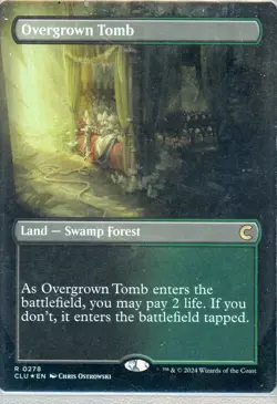 2024 Magic the Gathering Overgrown Tomb Land Swamp Forest Borderless Foil Nr/Mt - Image 1