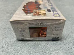 Magic the Gathering - Ice Age Booster Box factory sealed - Image 5