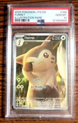 Furret Illustration Rare #168 - PSA GEM MT 10 - Journey Together - Pokemon TCG - Image 1