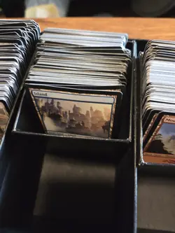 Magic the Gathering basic lands 550 count mixed varieties - Image 3