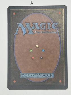 MTG Magic the Gathering An-Zerrin Ruins Homelands NM - Image 2