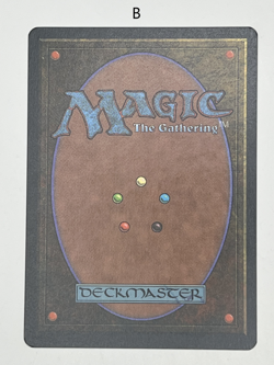 MTG Magic the Gathering An-Zerrin Ruins Homelands NM - Image 4