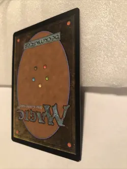 Academy Ruins - Image 5