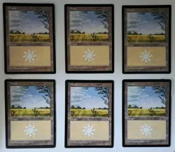 (6) Magic The Gathering Plains Basic Land Portal LP/NM Free Shipping - Image 1