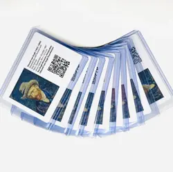 Van Gogh Museum QR Pokemon Promo INSERT ONLY Pikachu Grey Felt Hat Amsterdam - Image 2