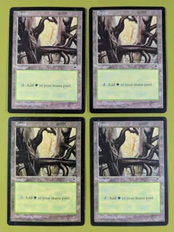 Forest (Ledge) x4 Tempest 4x Magic the Gathering MTG - Image 1