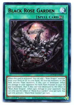Yugioh Black Rose Garden Ultra Rare Doom of Dimensions DOOD-EN055 - Image 1
