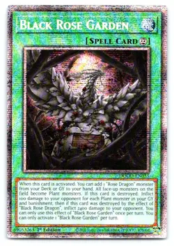 Yugioh Black Rose Garden (Starlight Rare) Starlight Rare Doom of Dimensions DOOD - Image 1