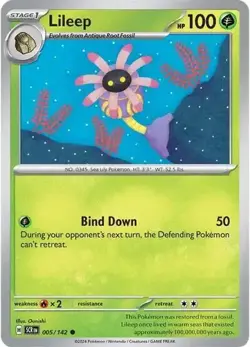 Lileep - C - 005/142 - Pokemon - Stellar Crown - NM/M - Regular - Image 1