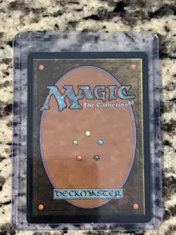 Seedborn Muse [10th Edition] Mtg - Image 2