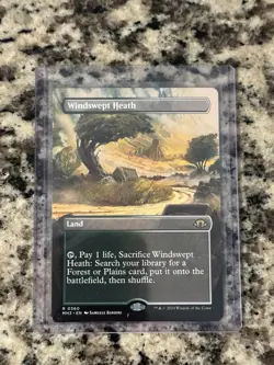 MTG / Windswept Heath / MH3 / #360 / Regular (Borderless) / Rare / NM - Image 1