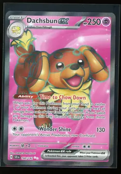 Pokemon TCG Dachsbun EX 160/142 Stellar Crown Ultra Rare NM - Image 1
