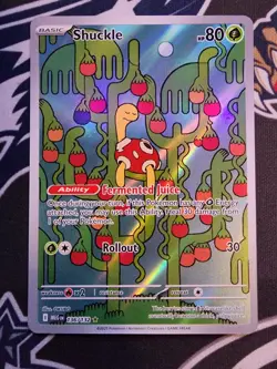 Shuckle - Pokemon TCG - Mega Evolution Illustration Rare - 136/132 - English - Image 1