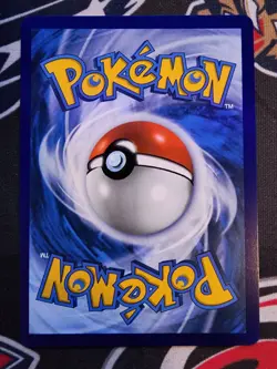 Shuckle - Pokemon TCG - Mega Evolution Illustration Rare - 136/132 - English - Image 2