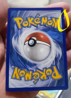 Light Toxtricity Holo SWSH137 Black Star Promo Celebrations Pokemon TCG - Image 2