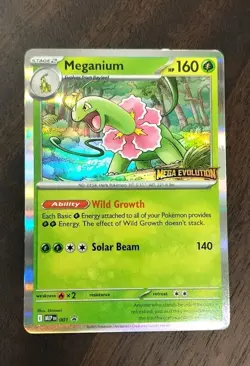 Meganium 001 Promo PRERELEASE STAMPED Mega Evolution Pokemon TCG Holo - LP Read - Image 1