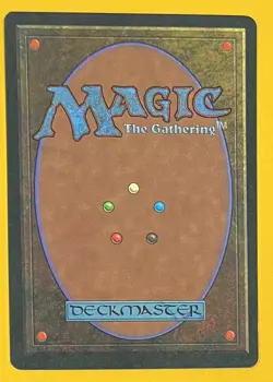 MTG RELIC BARRIER Legends (OldManMTG 004-508) - Image 2