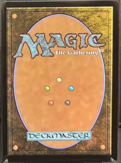 MTG Final Fantasy The Wandering Minstrel Borderless (Rare) - Image 2