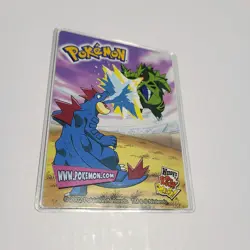 WENDY'S Vital Statistic CHARIZARD Promo POKEMON Laminated 2002 Trading Card 2/15 - Image 5