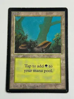 Forest (A) - Beta Edition 1993 - MTG card [MP] - Image 1