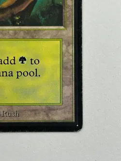 Forest (A) - Beta Edition 1993 - MTG card [MP] - Image 4