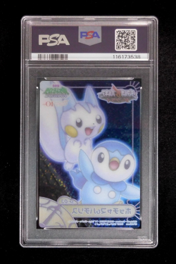PSA 10 Pokemon Card Piplup & Pachirisu SP-03 Holo Japanese Carddass DP Zukan - Image 3