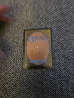 Coveted Falcon - Foil Extended Art MKM NM MTG Murder At Karlov Manor Magic Card - Image 2