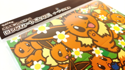 Pokemon Eevee Collection Long Card Deck Box TCG Japanese Pokemon Center Official - Image 4