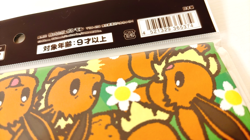 Pokemon Eevee Collection Long Card Deck Box TCG Japanese Pokemon Center Official - Image 5