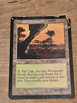 MTG Onslaught Windswept Heath Land Magic the Gathering Rare #1 - Image 1