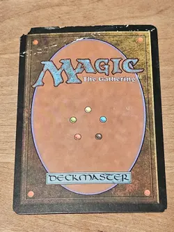 MTG Onslaught Windswept Heath Land Magic the Gathering Rare #1 - Image 2