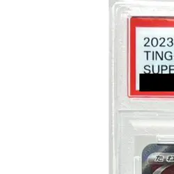 Pokemon Ting-Lu ex PSA 10 Holo SR 088/071 SV2D Clay Burst Japanese Card - Image 3