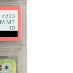 Pokemon Eevee ex PSA 10 Holo SAR 223/187 SV8a Terastal Fest ex Japanese Card - Image 5
