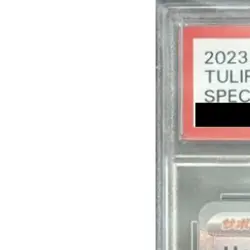 Pokemon Tulip PSA 10 Holo SAR 092/066 SV4M Future Flash Japanese Card - Image 3