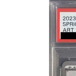 Pokemon Sprigatito PSA 10 Holo AR 075/073 SV1a Triplet Beat Japanese Card - Image 3