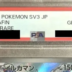 Pokemon Palafin PSA 10 Holo AR 111/108 SV3 Ruler of the Black Flame Japanese ... - Image 4